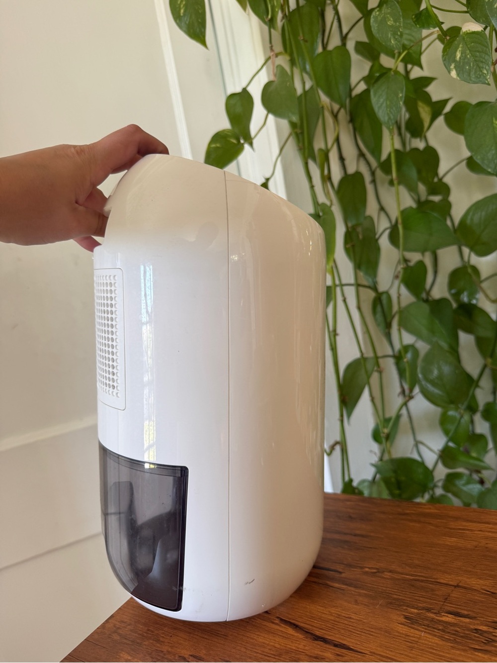 Makayla White Portable Humidifier / Diffuser - Picture 13 of 13